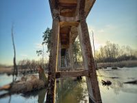 642779562 18239907619307170 2688386349447510293 n