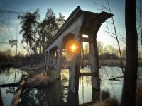 649219100 18239907610307170 490588689307292368 n